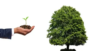 Notas de dinheiro sendo geradas a partir de um laptop